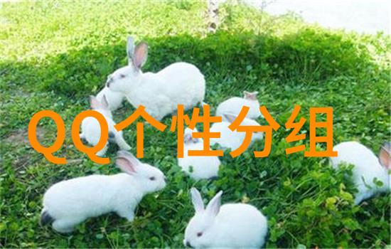 岁月静好的扣扣分组守着这片天空