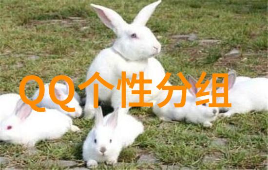 扣扣有关上班的分组上完上午还要上下午